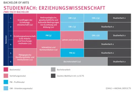 Studienverlaufsplan für das Bildungswissenschaften Studium im Zwei-Fach-Bachelor. Zeigt Module über sechs Semester.