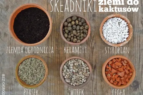 Sześć doniczek z różnymi składnikami do ziemi do kaktusów: ziemia ogrodnicza, keramzyt, styropian, piasek, żwirek, cegła.