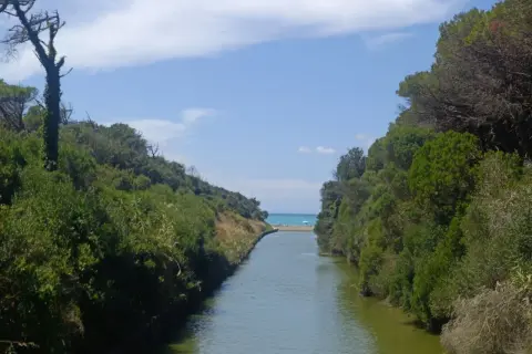Canale che sfocia nel mare, incorniciato dalla vegetazione della riserva naturale Tomboli di Cecina.
