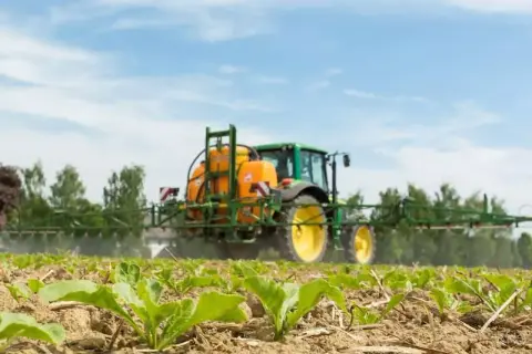 Zielony traktor z opryskiwaczem, zawierającym etofumesat, chroni młode buraki przed chwastami na polu.