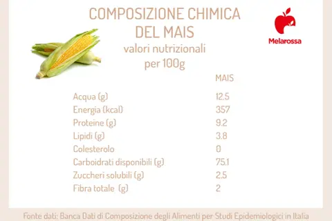 Composizione chimica del mais: valori nutrizionali per 100g, con dettagli su acqua, energia, proteine, lipidi, carboidrati e fibra.