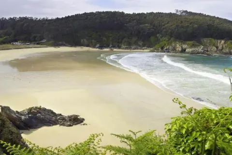 Paisaje de las calas de Lugo: playa dorada, mar turquesa y bosque frondoso.