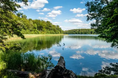 Idyllischer See mit bewaldeten Ufern, ein Ort zum Entspannen, den man in der Nähe von Berlin gesehen haben muss.