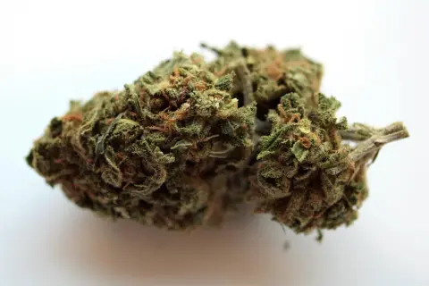 Zielona, zbita marihuana z pomarańczowymi włoskami, gotowa do użycia.