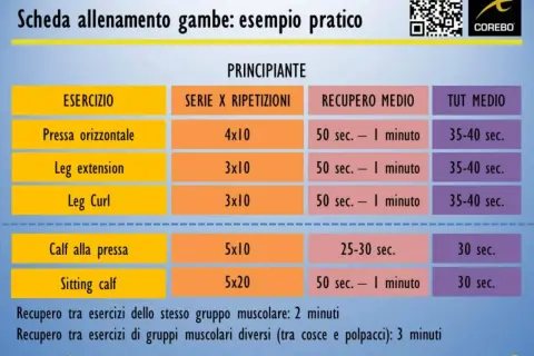 Scheda allenamento gambe uomo: esercizi come pressa, leg extension, leg curl, calf alla pressa e sitting calf con serie, ripetizioni e recupero.
