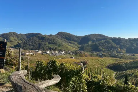 Wzgórza winnic w Conegliano, gdzie powstaje najdroższe prosecco. Widok na malowniczą wioskę i pola winorośli.