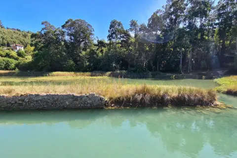 Paisaje sereno con aguas turquesas y vegetación exuberante, ideal para explorar las **rutas lekeitio**.
