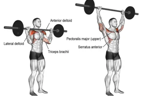 Mężczyzna wykonuje wyciskanie sztangi nad głowę. To świetne ćwiczenie na barki, angażujące też klatkę i triceps.