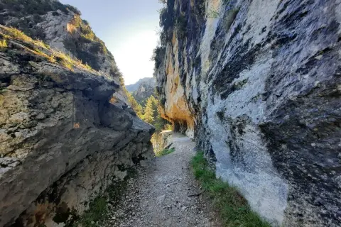Sentier rocailleux serpentant entre les falaises imposantes des gorges de Trévans. Le soleil perce à travers la roche, illuminant le chemin.