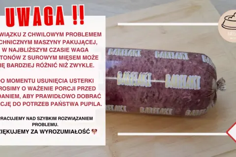 Surowe mięso dla kota: Czy to bezpieczne? Przewodnik BARF