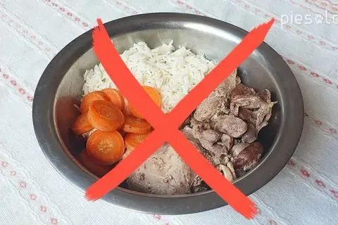 Gotowana wołowina dla psa: Jak przygotować ją bezpiecznie i zdrowo?
