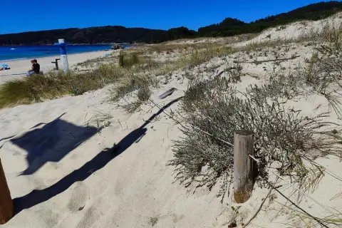 Dunas de arena y vegetación en la playa de Rodeira, con el mar azul y una persona sentada al fondo.