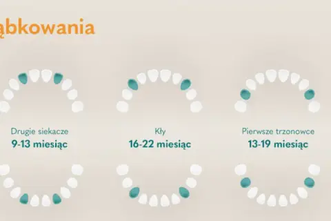 Ząbkowanie u niemowlaka: Ile trwa? Kalendarz, objawy i ulga!