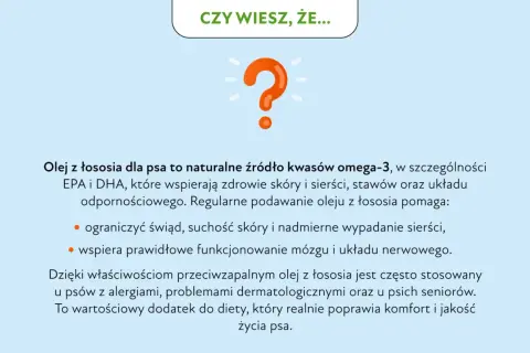 Olej z łososia dla psa to naturalne źródło kwasów omega-3, wspierające skórę, sierść i stawy. Pomaga ograniczyć świąd i wypadanie sierści.