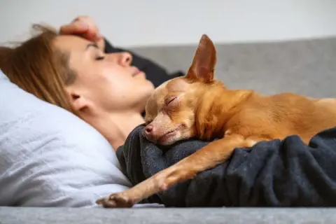 Mały piesek śpi na plecach, wtulony w swoją panią. To znak zaufania i komfortu, dlatego pies kładzie się na plecach.