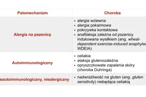 Nietolerancja glutenu u dorosłych: objawy, diagnoza i życie bez glutenu