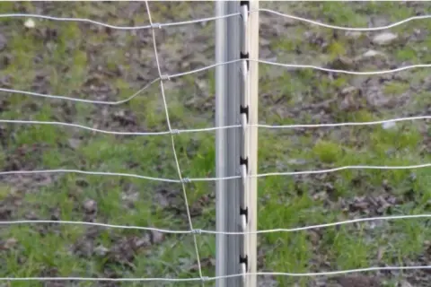 Słupki do siatki 150 cm z drutem, idealne do ogrodzenia pastwiska.