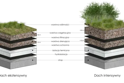 Schemat dwóch typów zielonych dachów: ekstensywnego i intensywnego. Pokazuje warstwy budowy, od stropu po roślinność, tworząc zielony ogród na dachu.