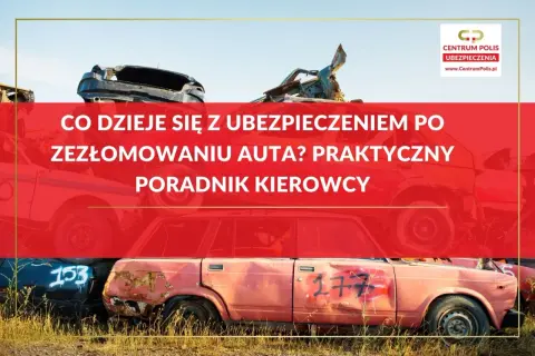 Złomowanie auta a OC: praktyczny poradnik kierowcy. Na złomowisku piętrzą się wraki samochodów, a niebo jest błękitne.