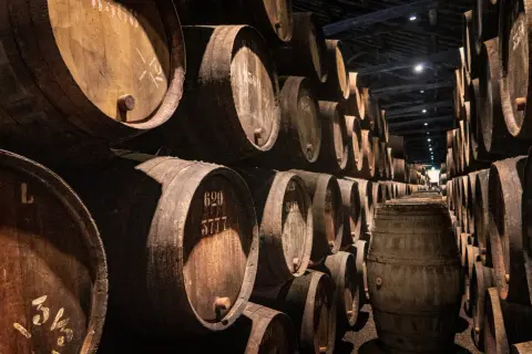W piwnicy dojrzewają beczki, gdzie zachodzi fermentacja malolaktyczna. Wino nabiera głębi smaku.