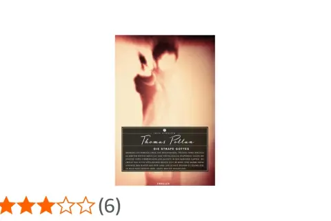 Buchcover "Die Strafe Gottes" von Thomas Pollan. Ein Mann im Schatten, vielleicht ein Opfer oder Täter, im Zentrum.