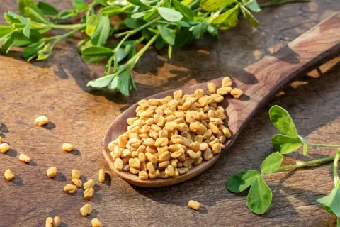 Une cuillère en bois déborde de graines de fenugrec dorées, posée sur une surface en bois rustique. Des feuilles vertes fraîches entourent ce trésor aromatique.