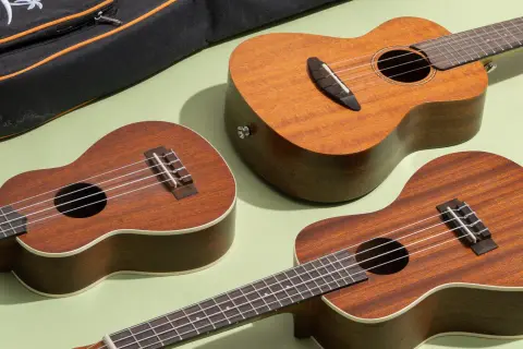 Trzy ukulele w odcieniach brązu leżą obok czarnego futerału na jasnym, zielonym tle.