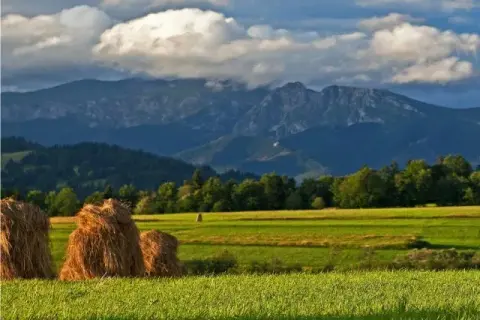 Biały Dunajec: Atrakcje na każdą porę roku? Odkryj sekrety Podhala!