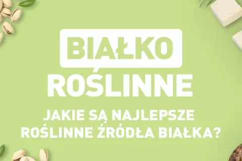 Gdzie kupić białko roślinne? Sprawdzone sklepy i najlepsze oferty
