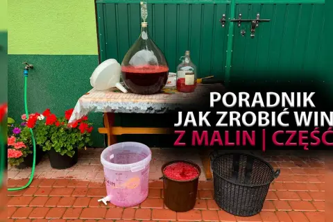 Jak zrobić wino malinowe - proste przepisy i najczęstsze błędy