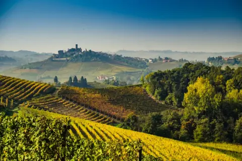 Colline dorate di vigneti nei **Langhe e Roero**, con un borgo medievale in lontananza sotto un cielo azzurro.