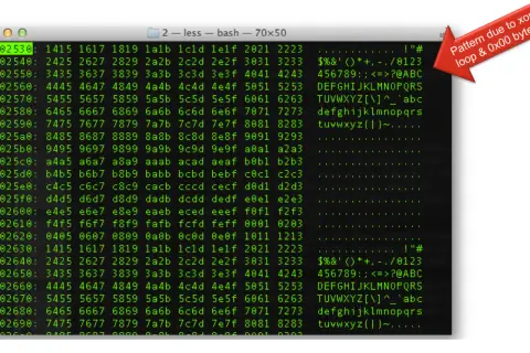 Un écran affiche des données hexadécimales et ASCII, comme si l'on tentait de décoder un code ASCII. Une flèche rouge indique un motif dû à une boucle XOR et des octets 0x00.