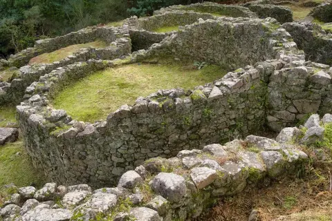 Ruinas circulares de piedra cubiertas de musgo y hierba en el **castro de Troña**, con vegetación verde al fondo.