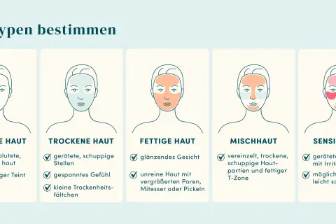 Illustrationen zeigen, wie finde ich meinen hauttyp heraus: normale, trockene, fettige, Mischhaut und sensible Haut mit typischen Merkmalen.