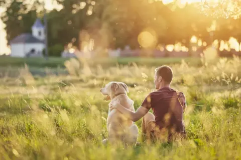 Ein Mann und sein Hund sitzen im goldenen Abendlicht auf einer Wiese. Sie sind sichtlich zufriedene Menschen, die die Ruhe genießen.