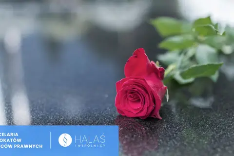 Czerwona róża na kamieniu. Potrzebujesz pomocy, co zrobić z dokumentami po zmarłej osobie? Kancelaria prawna HALAŚ i wspólnicy.