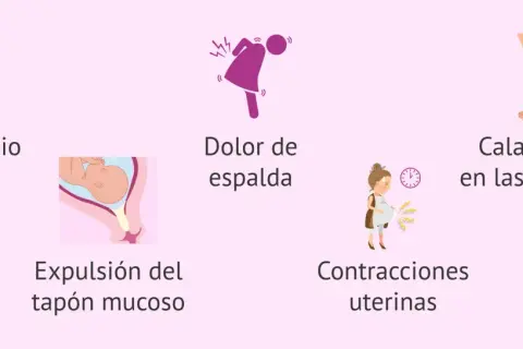Cansancio, dolor de espalda, calambres, contracciones y expulsión del tapón mucoso. ¡Se acerca el momento!