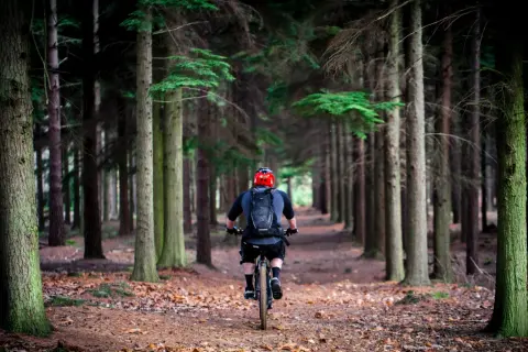 Rowerzysta w kasku jedzie leśną ścieżką. To idealne miejsce na odkrywanie tras rowerowych w Polsce.