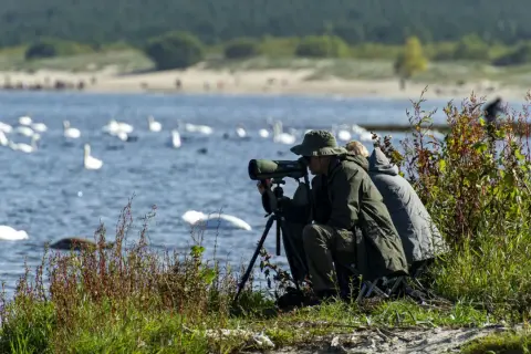Obserwatorzy ptaków w rezerwacie mewia łacha, z lornetką i teleskopem, podziwiają łabędzie na wodzie.