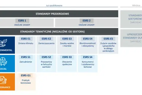 Jak europejskie standardy sprawozdawczości zrównoważonego rozwoju zmieniają biznes