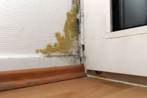 Gelber und schwarzer Schimmel unten an der Wand, nahe dem Fensterrahmen. Feuchtigkeitsproblem sichtbar.