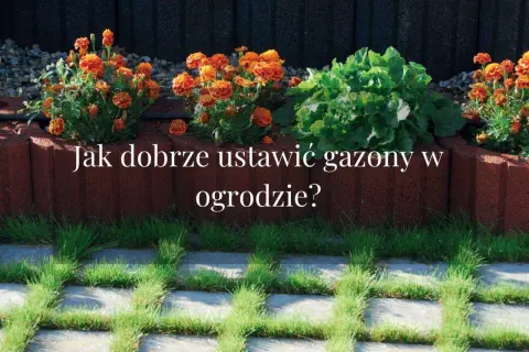 Piękne gazony ogrodowe aranżacje z pomarańczowymi aksamitkami i zielonymi roślinami. Dowiedz się, jak je ustawić.