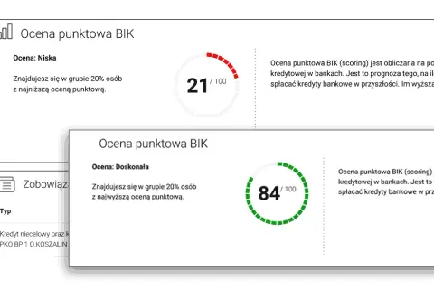 Czy Orange sprawdza BIK? Prawda o analizie kredytowej klientów