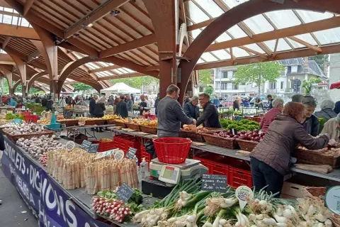Marché animé à Brive-la-Gaillarde, avec des étals colorés de légumes frais. Idéal pour savoir que faire à Brive-la-Gaillarde !