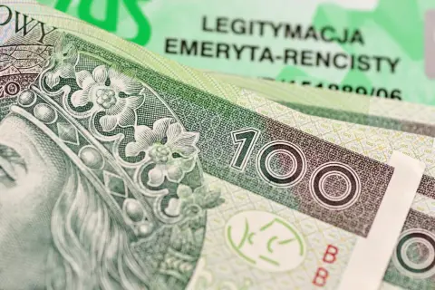 Złotówki i legitymacja emeryta-rencisty. Czy komornik może zająć rentę rodzinną po mężu?
