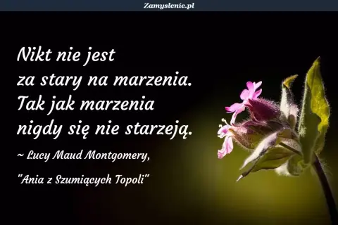 Nikt nie jest za stary na marzenia. Cytaty o marzeniach i celach przypominają, że marzenia nigdy się nie starzeją. Kwiaty na tle.