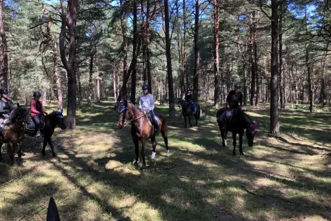 Jazda konna w lesie, gdzie stajnia rancho pasja oferuje niezapomniane przeżycia.