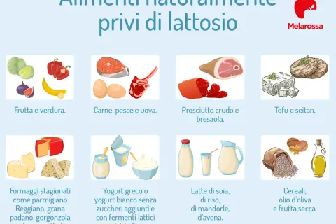 Formaggi stagionati come grana padano, parmigiano, emmenthal e gorgonzola sono naturalmente privi di lattosio.
