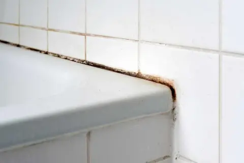 Angolo della doccia con muffa nera e ruggine. Scopri come pulire il nero della doccia per un bagno splendente.