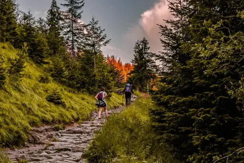 Zwei Wanderer genießen eine malerische Tour im Odenwald. Der steinige Pfad schlängelt sich durch dichte Wälder, während die Sonne die Baumwipfel in warmes Licht taucht.